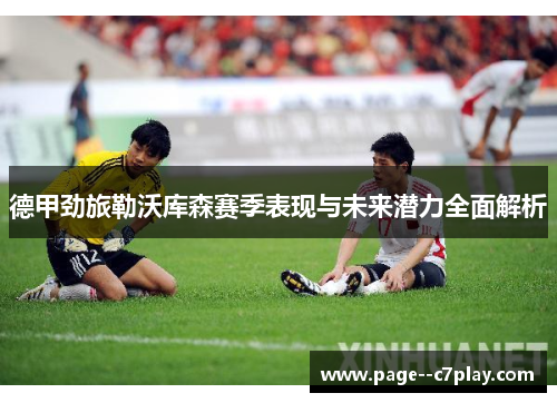 德甲劲旅勒沃库森赛季表现与未来潜力全面解析